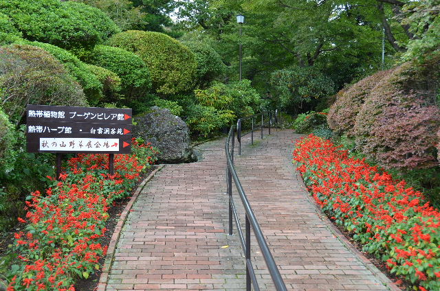 DSC_0759.JPG