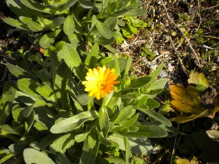 DSCN0623.JPG