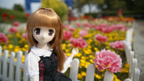 木曽三川公園チューリップ  陽菜ちゃん.jpg