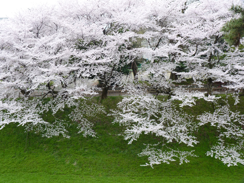 nagoyajyo-w016.jpg