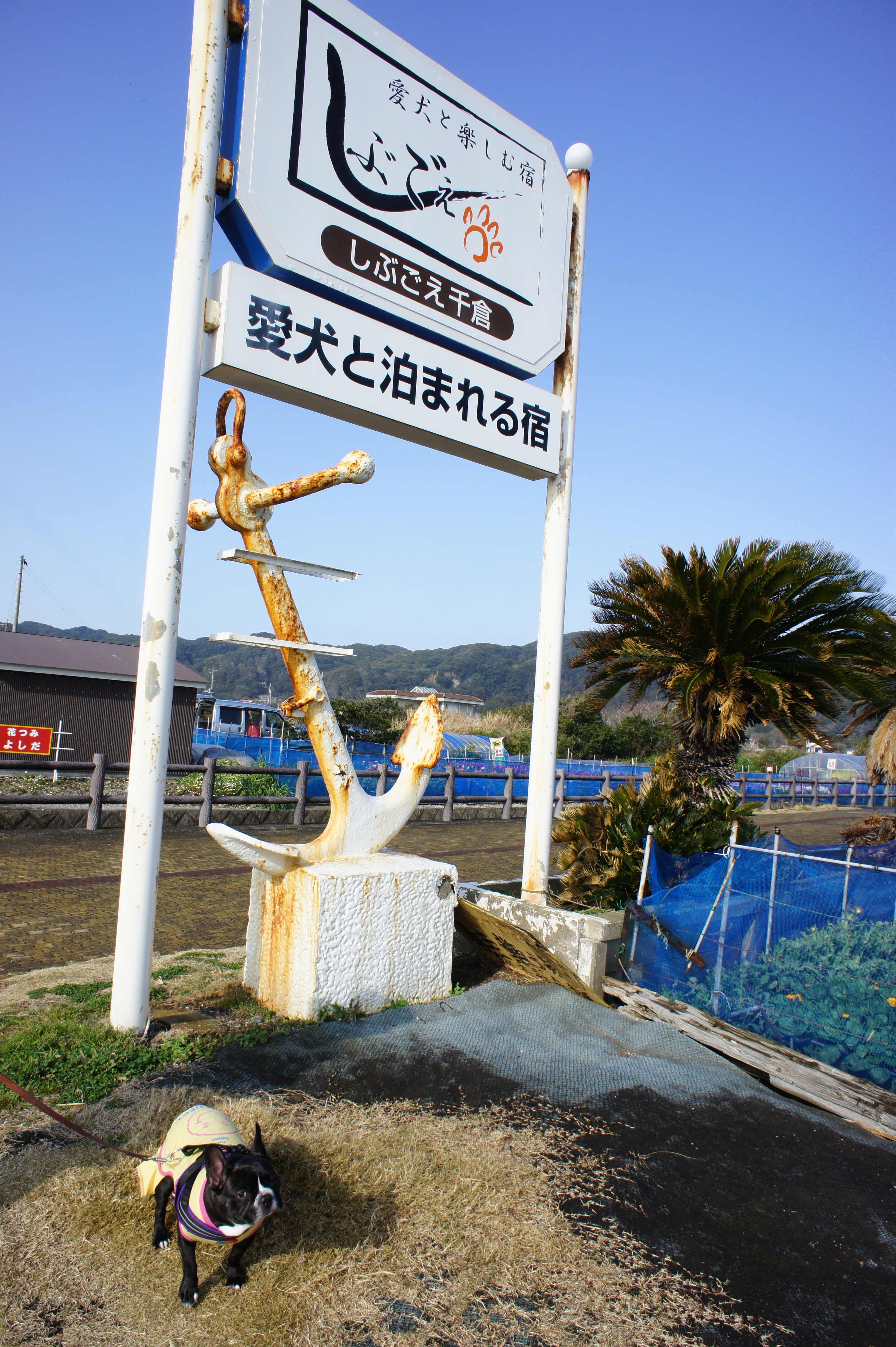 DSC03406.JPG