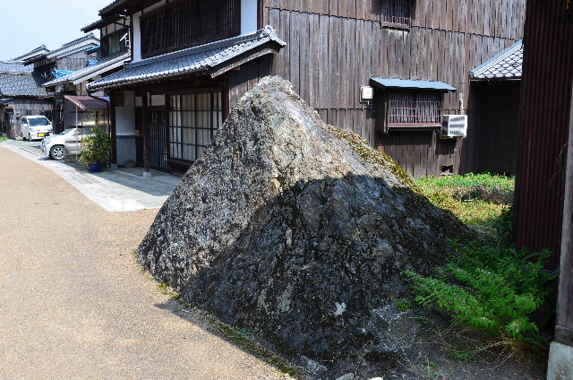 DSC_3454.JPG