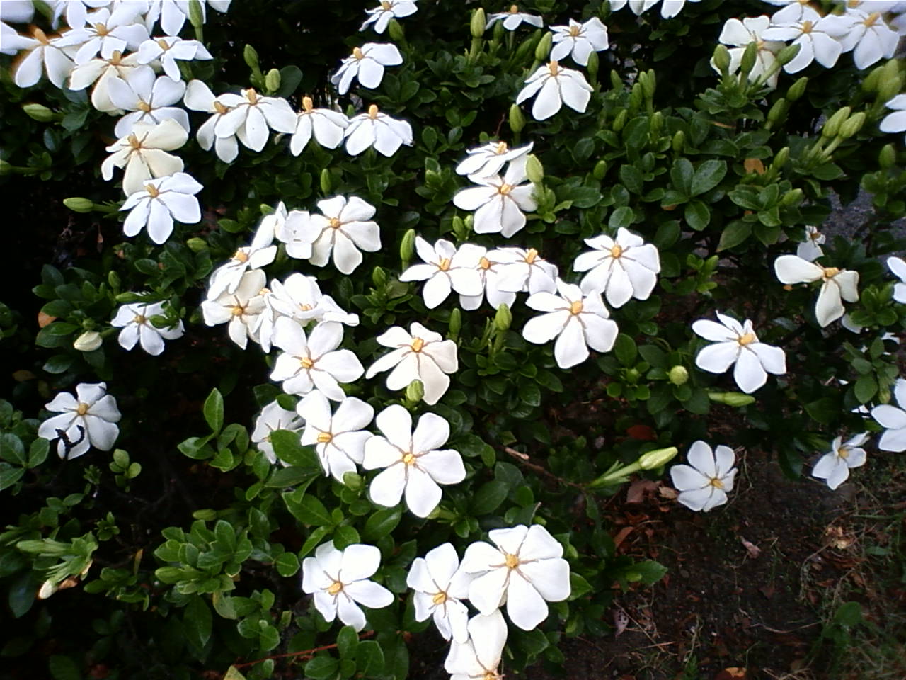 DCF_0314.JPG