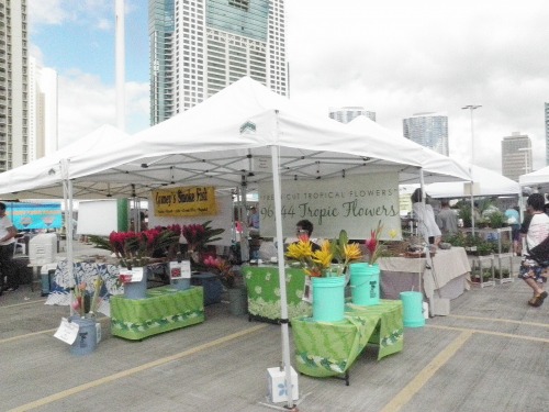 ２０１２年ハワイ２ 462.jpg