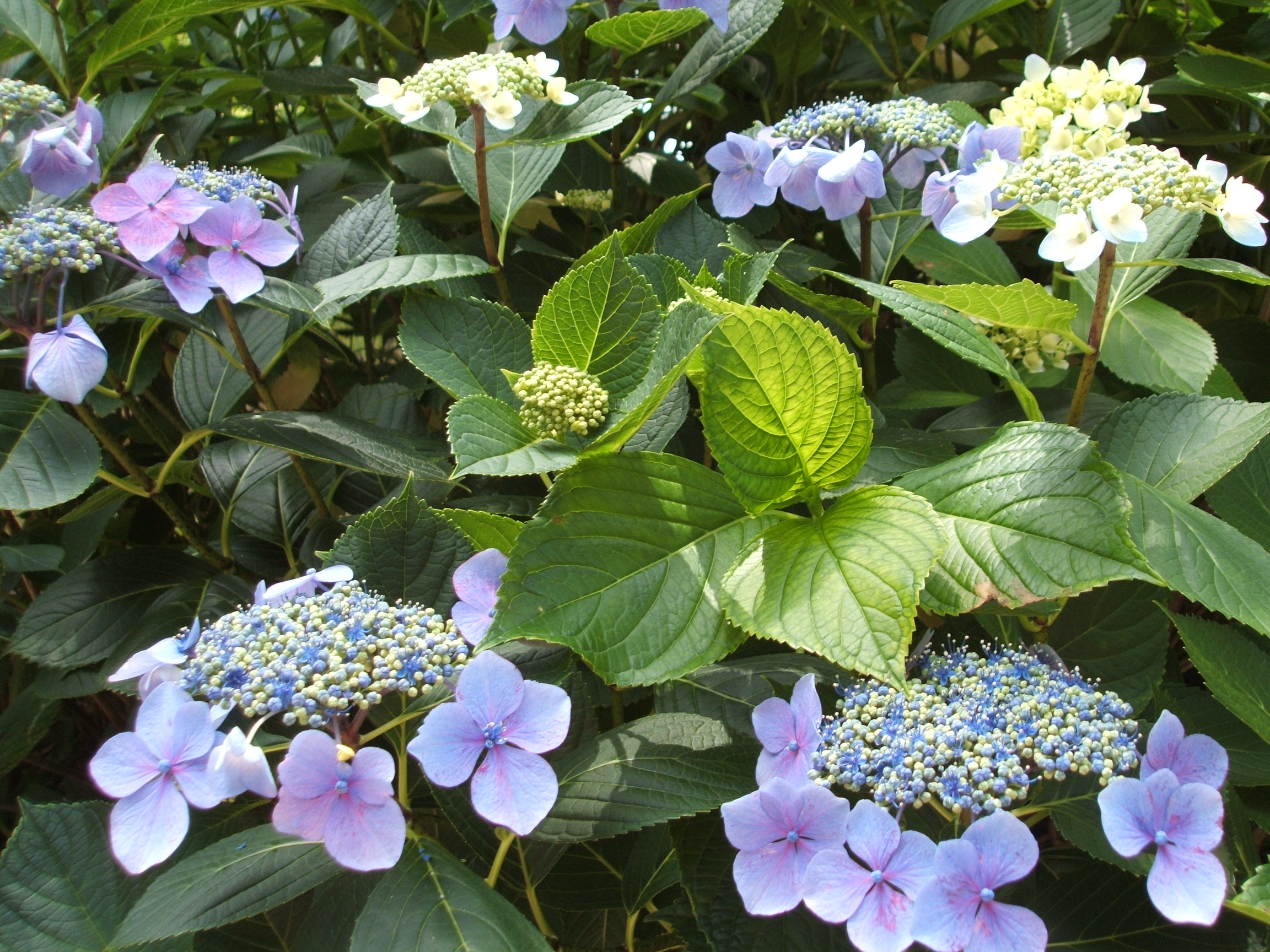 DSCF3634.JPG