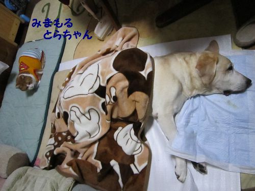 さいご１.jpg
