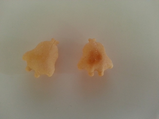 20131202_110439.jpg