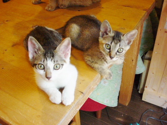 DSC09065.JPG