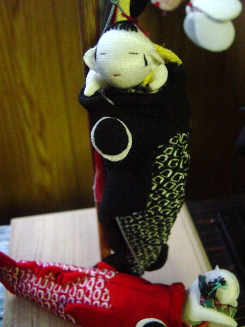 DSC06453.JPG