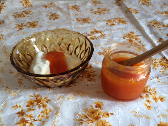 食べ物　アンズジャム.JPG