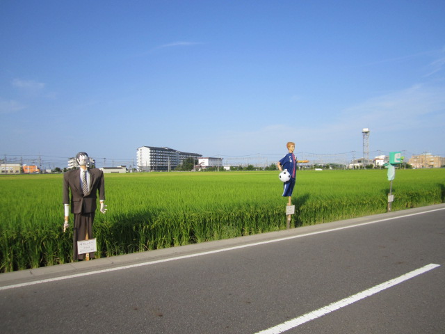 林講師、日本代表選手