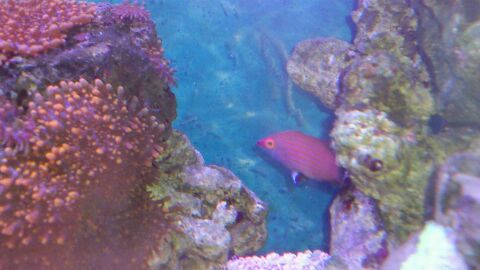 rps20130310_053836_853.jpg