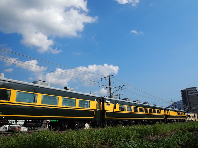 P9101963.JPG