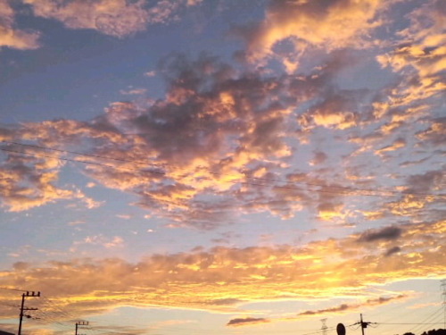 黄金色の夕焼2015