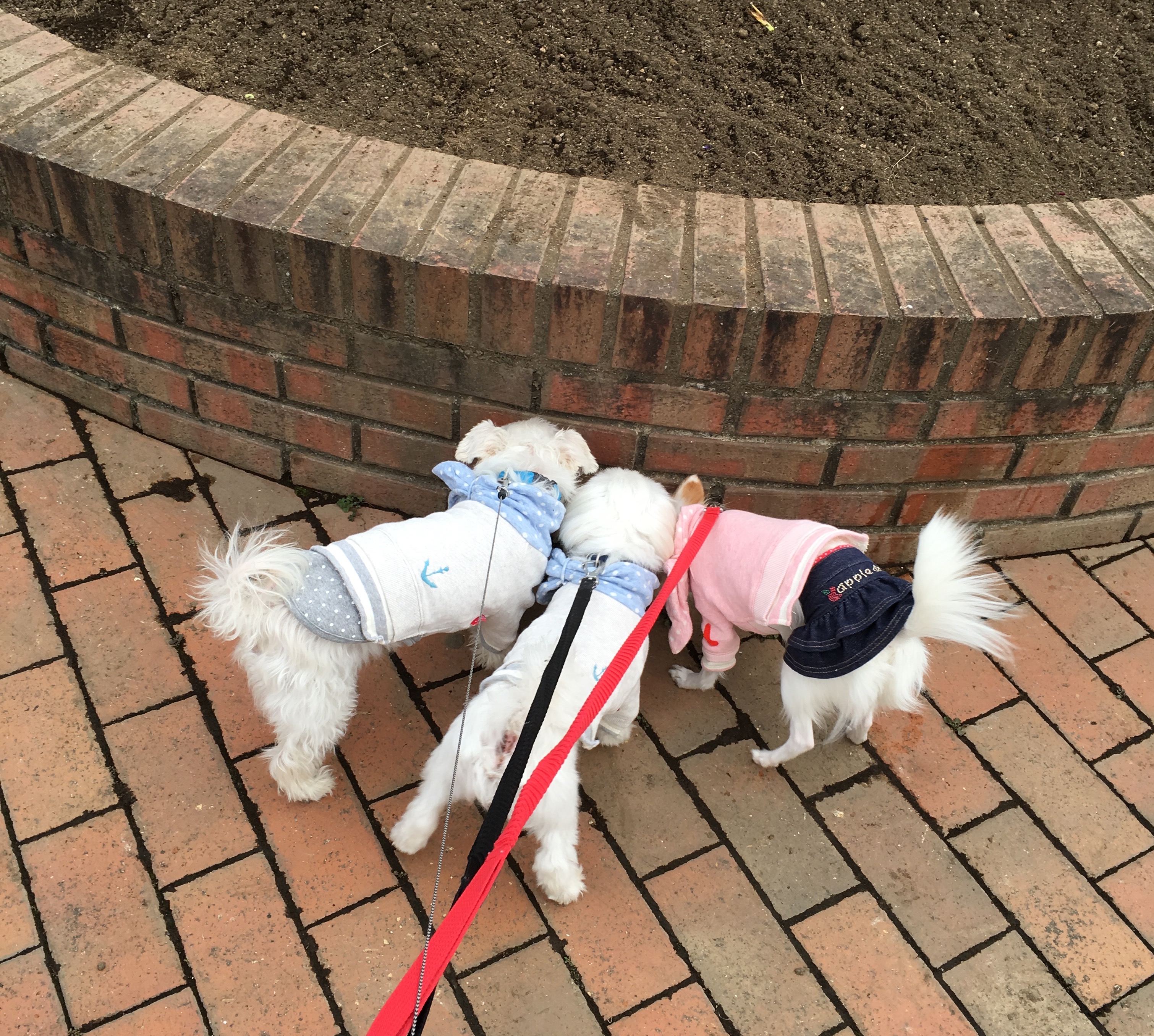 201511162113_3265_iphone.jpg