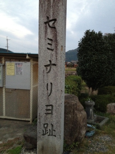 IMG_0022_3.jpg