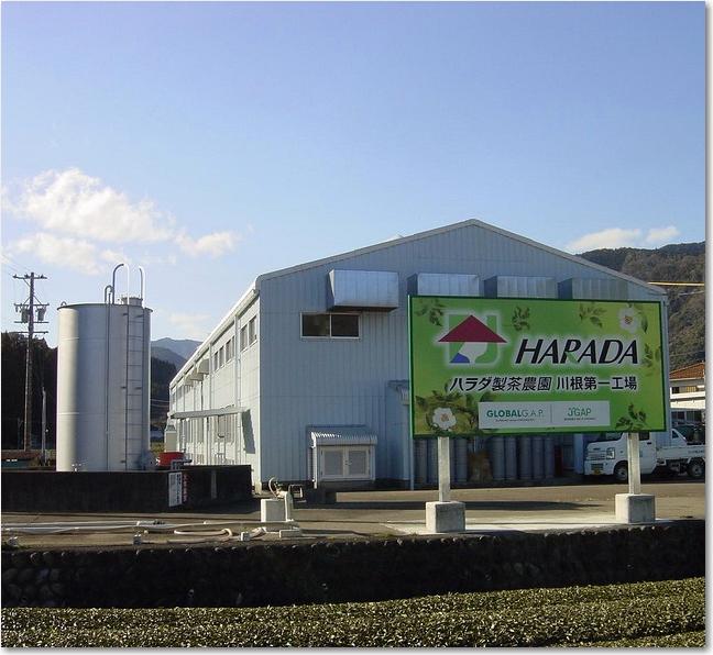 35ハラダ製茶.JPG