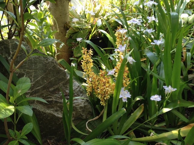 IMG_6984 (640x480).jpg