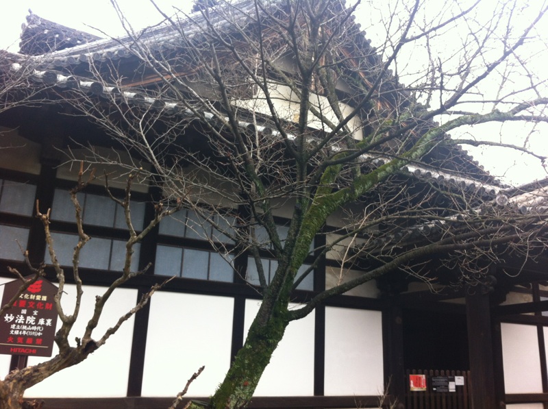 妙法院庫裏.jpg