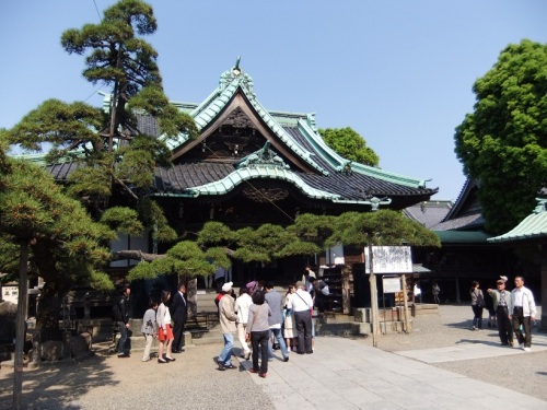柴又帝釈天20130505.JPG
