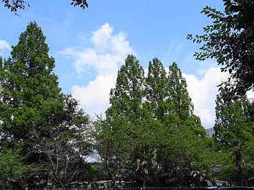 150816-02.JPG