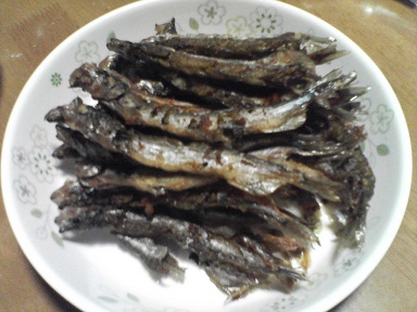 シシャモ24041202