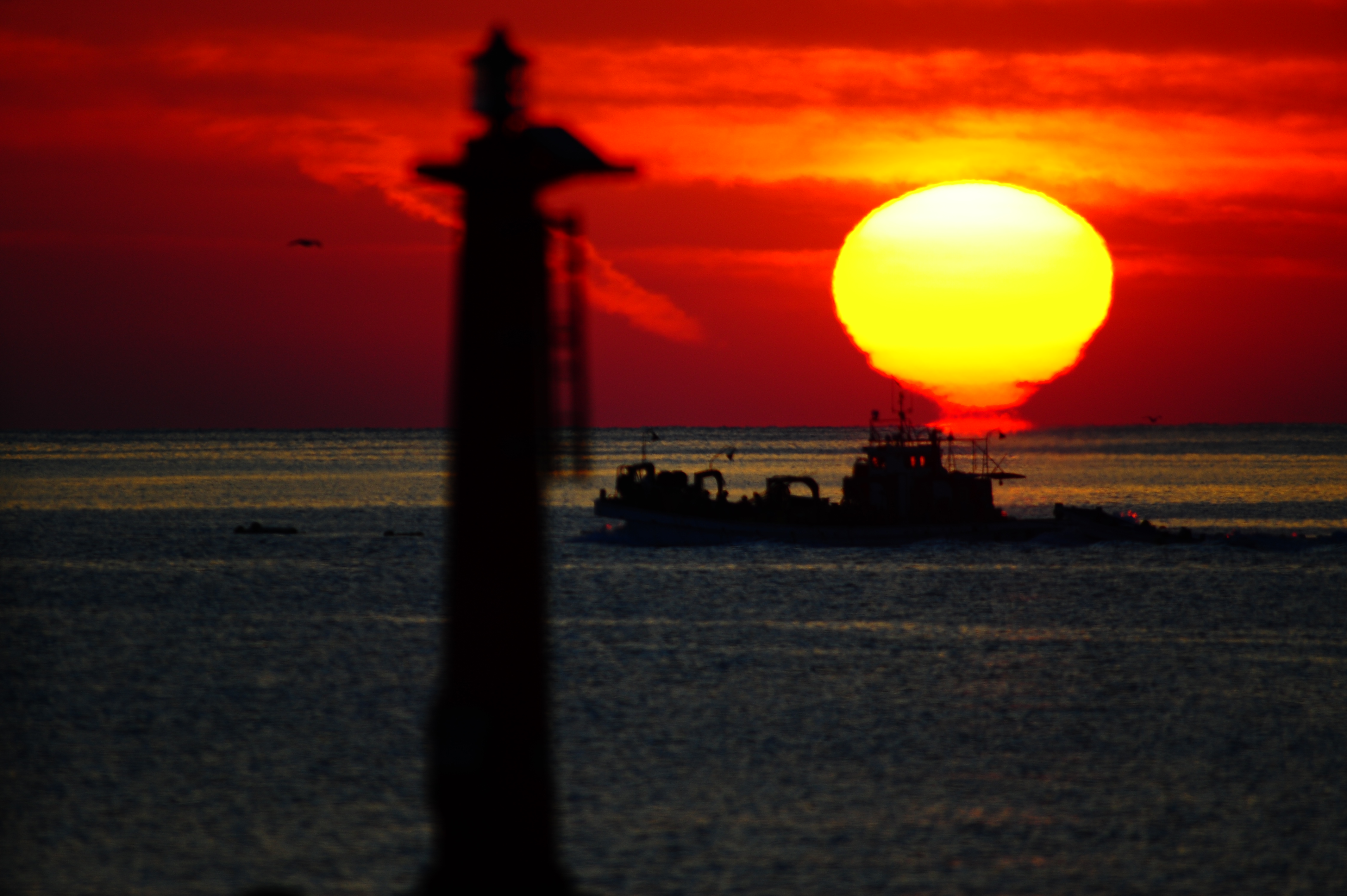DSC_5722.JPG