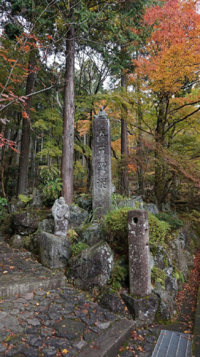 20141112 11062401.jpg