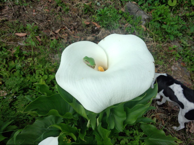 DSC_0332.jpg