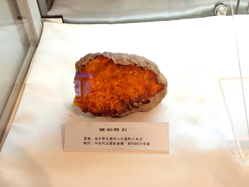 _7170061.JPG
