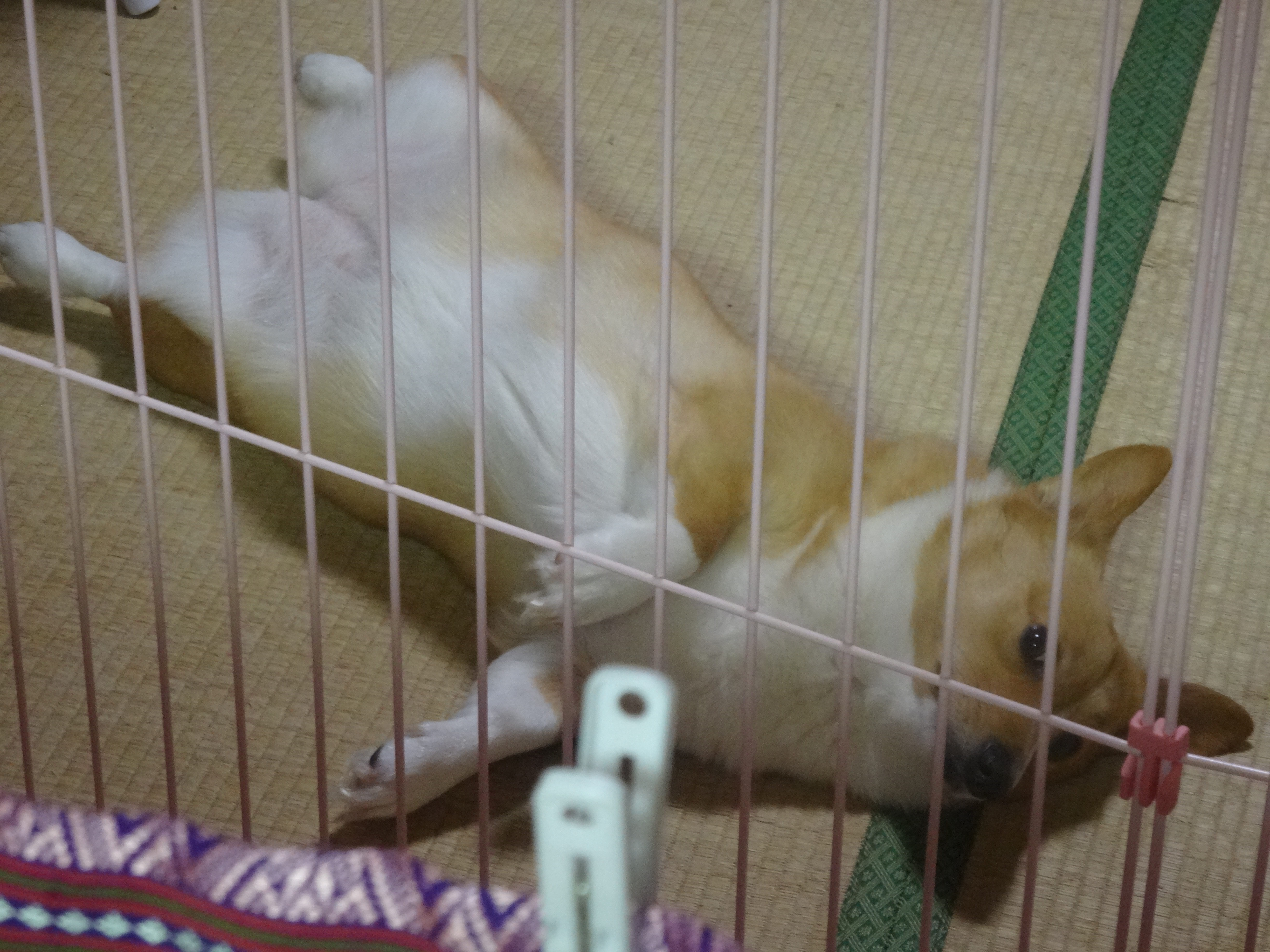 DSC00082.JPG