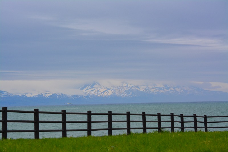 DSC_0029.jpg