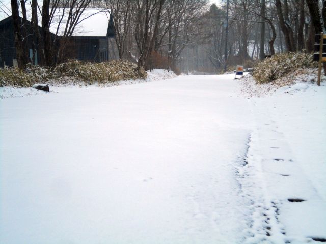 161228road.jpg