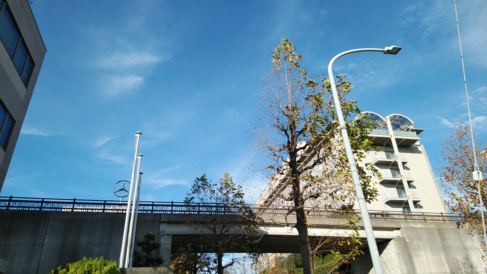 20191117  DSC_0003.jpg.jpg