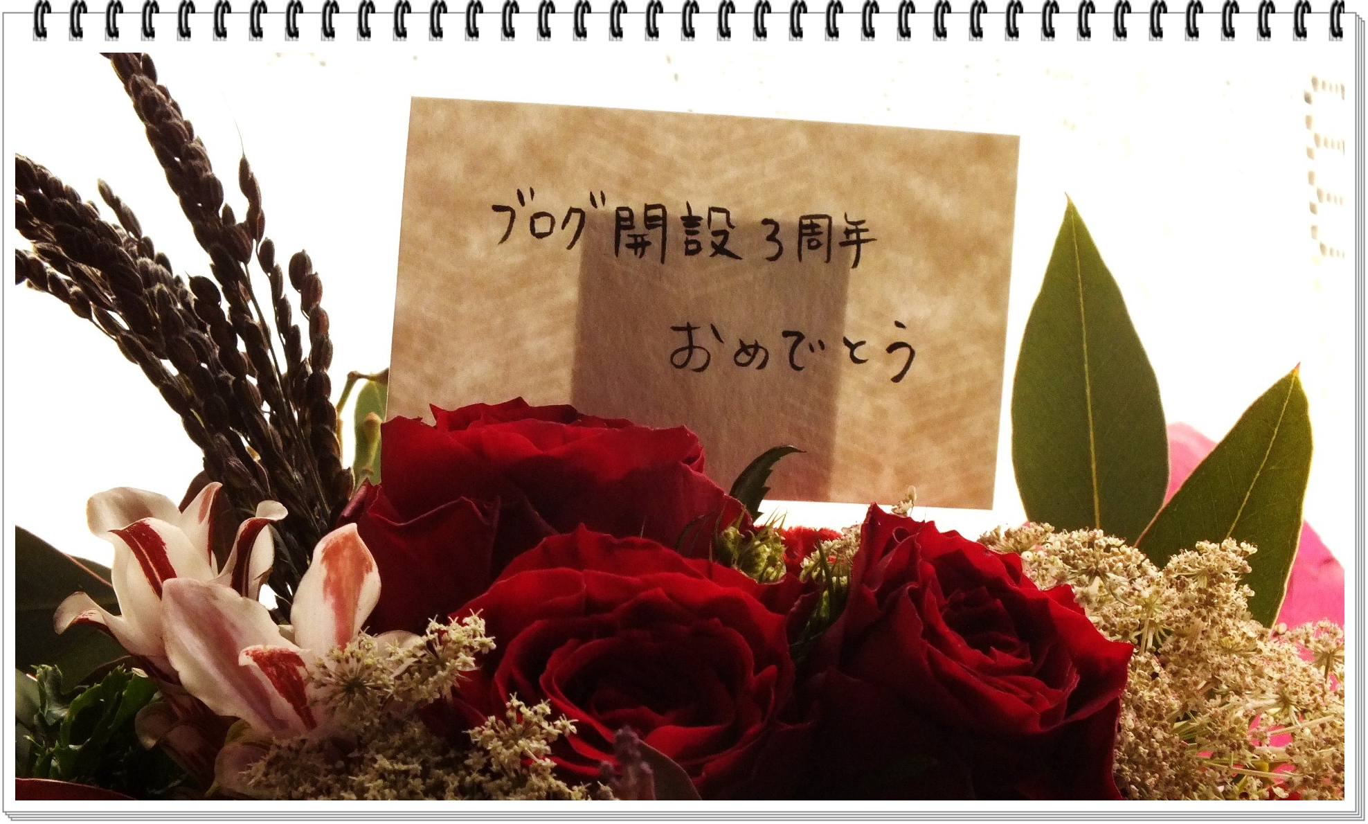 DSCF0387.JPG
