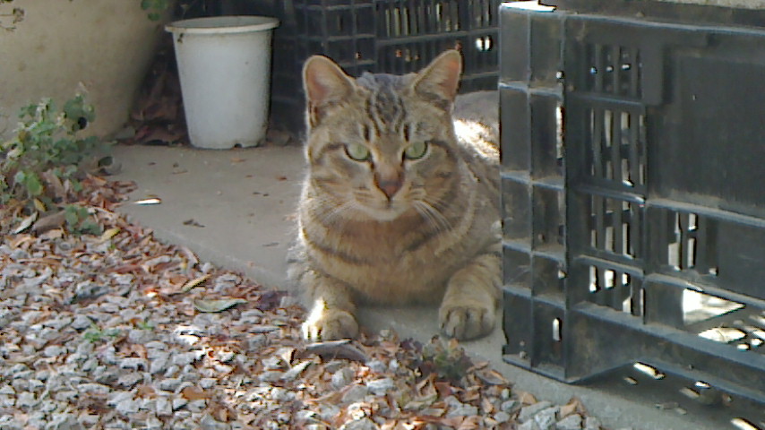 NEC_0637.JPG