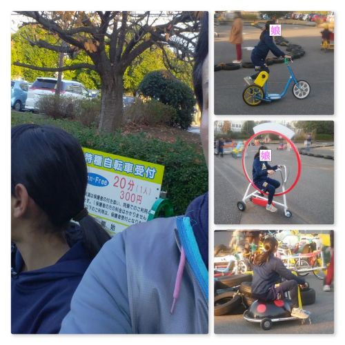 若洲海浜公園 おもしろ自転車 お父さんは忘れん坊 楽天ブログ