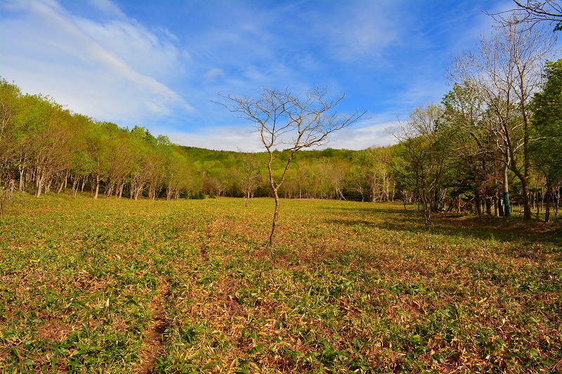 DSC_0564.jpg