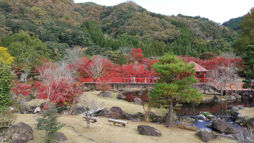中津ダム渓石園 (5).jpg