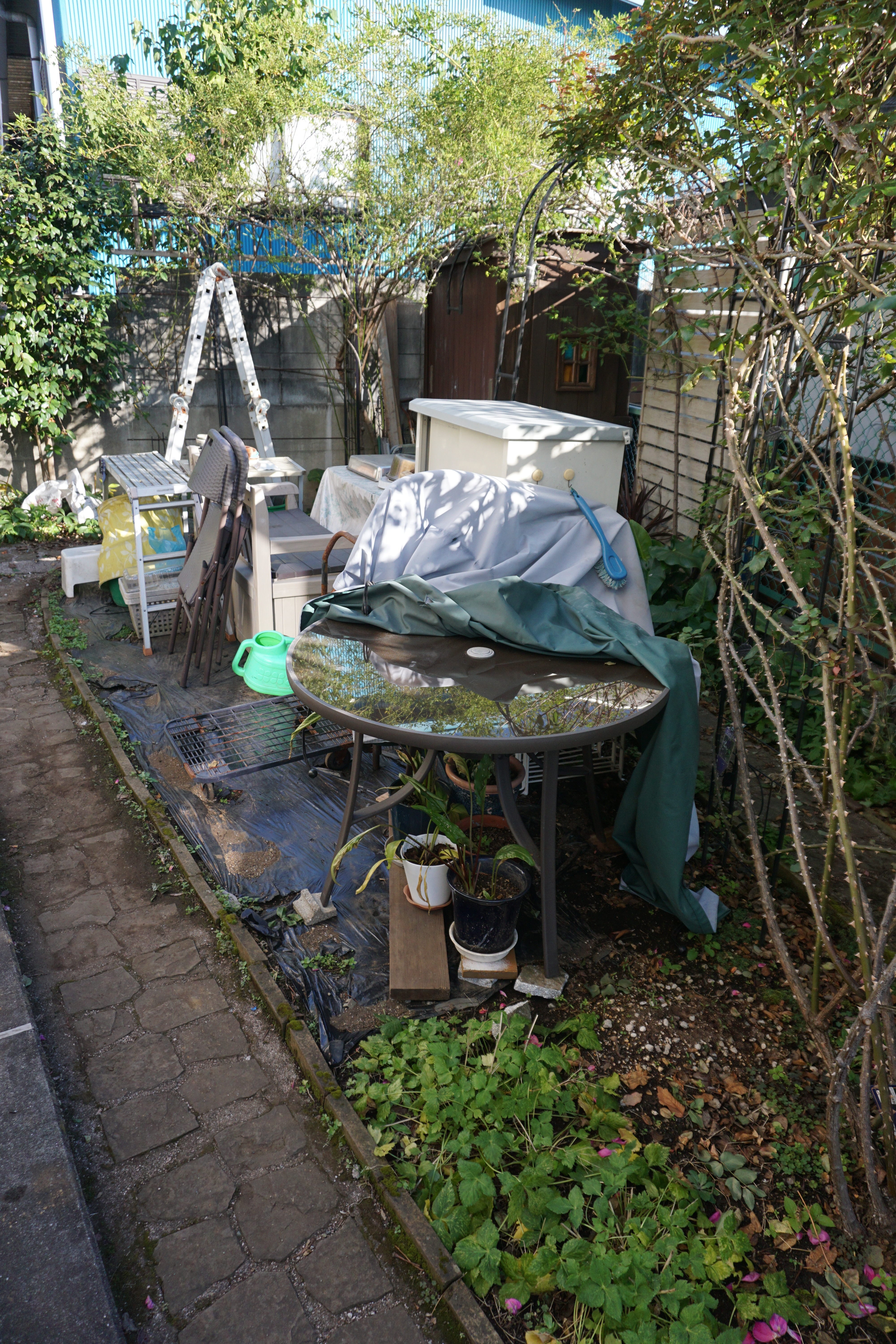 2023年11月2-4.JPG