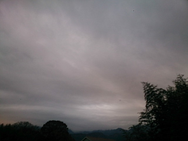 20181213  DSC_0002.jpg