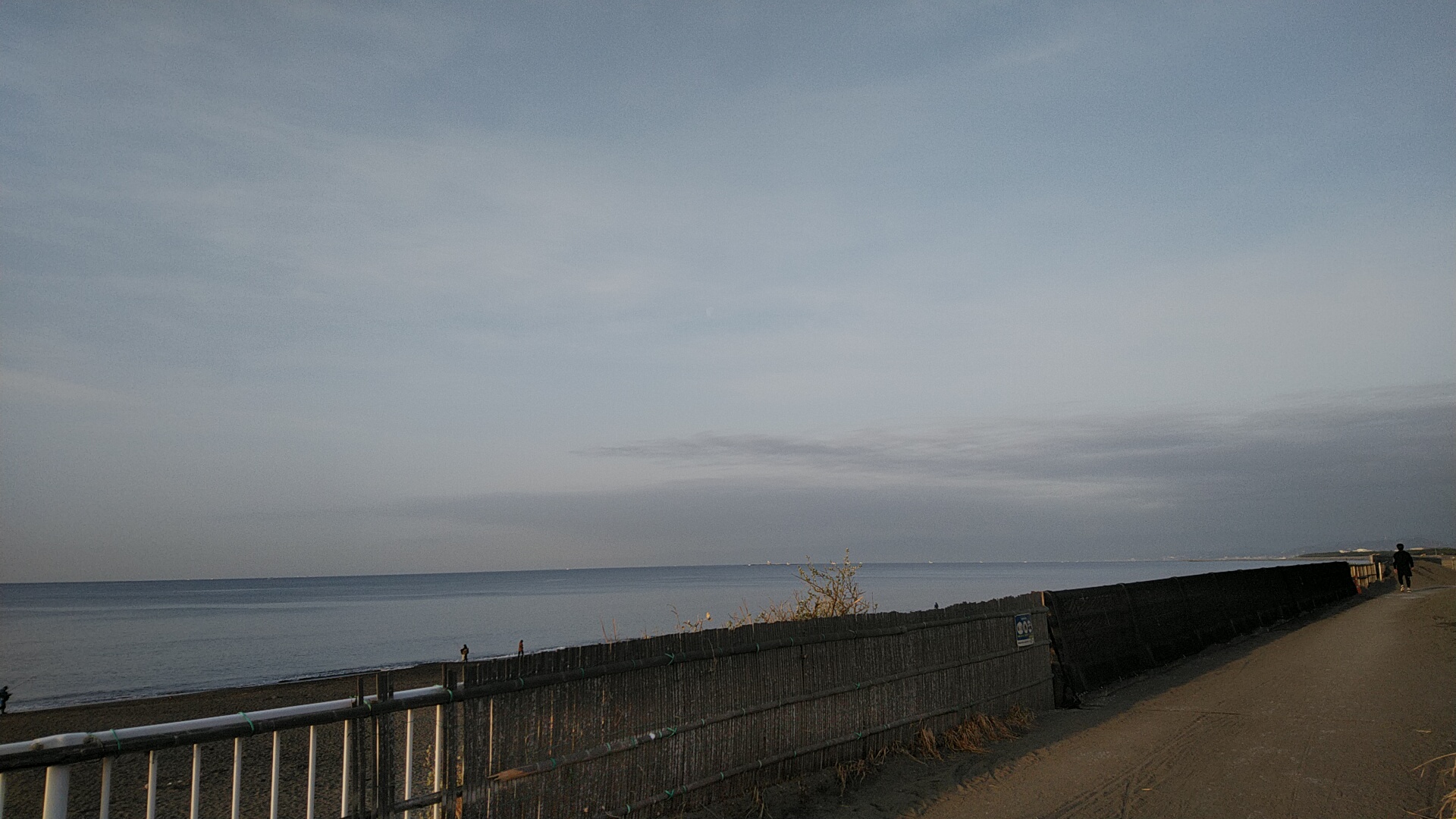 20230312  DSC_0004.jpg