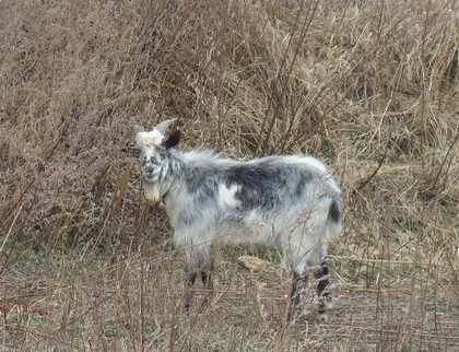 DSC08747.JPG