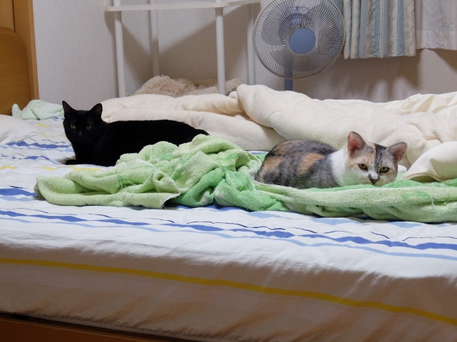 DSCF0422 (640x480).jpg