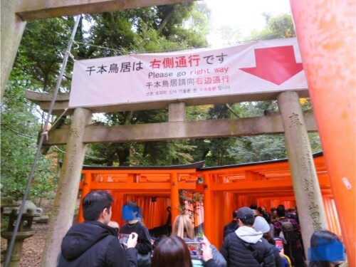 伏見稲荷 (2).jpg