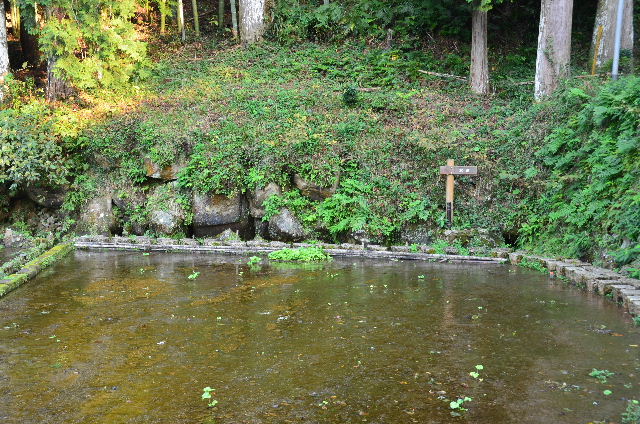 DSC_4337.JPG