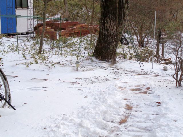 230121garden.jpg