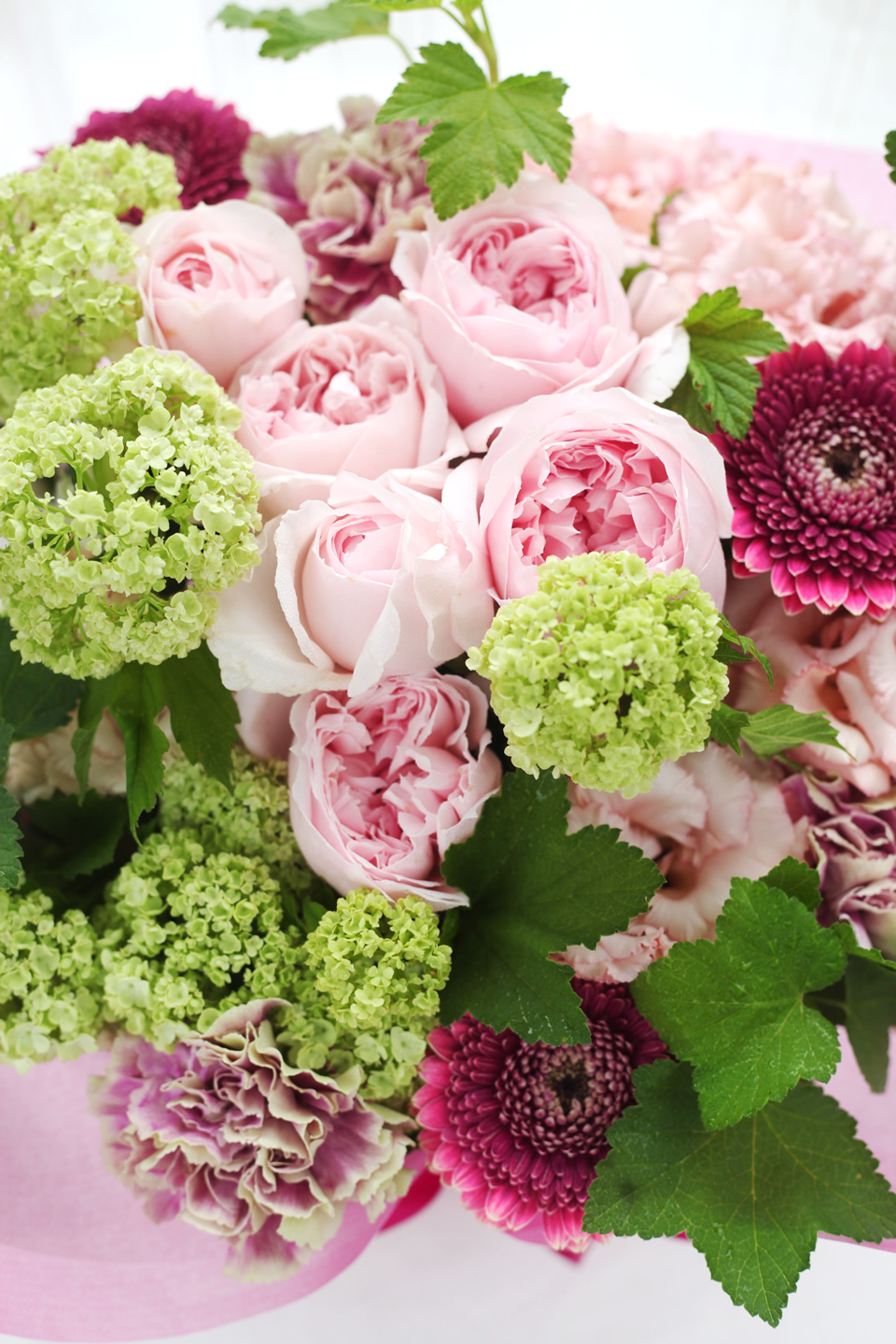 pink8800-176-2.jpg