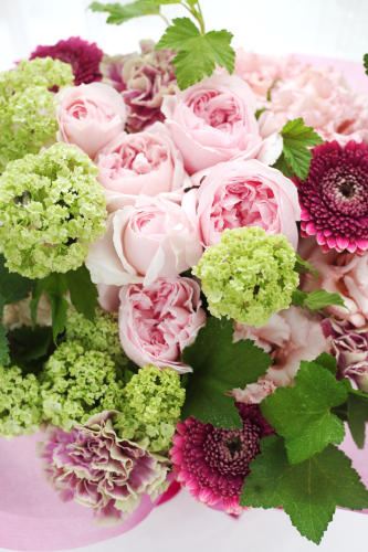 pink8800-176-2.jpg