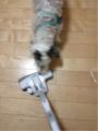 201205162036_3561_iphone.jpg